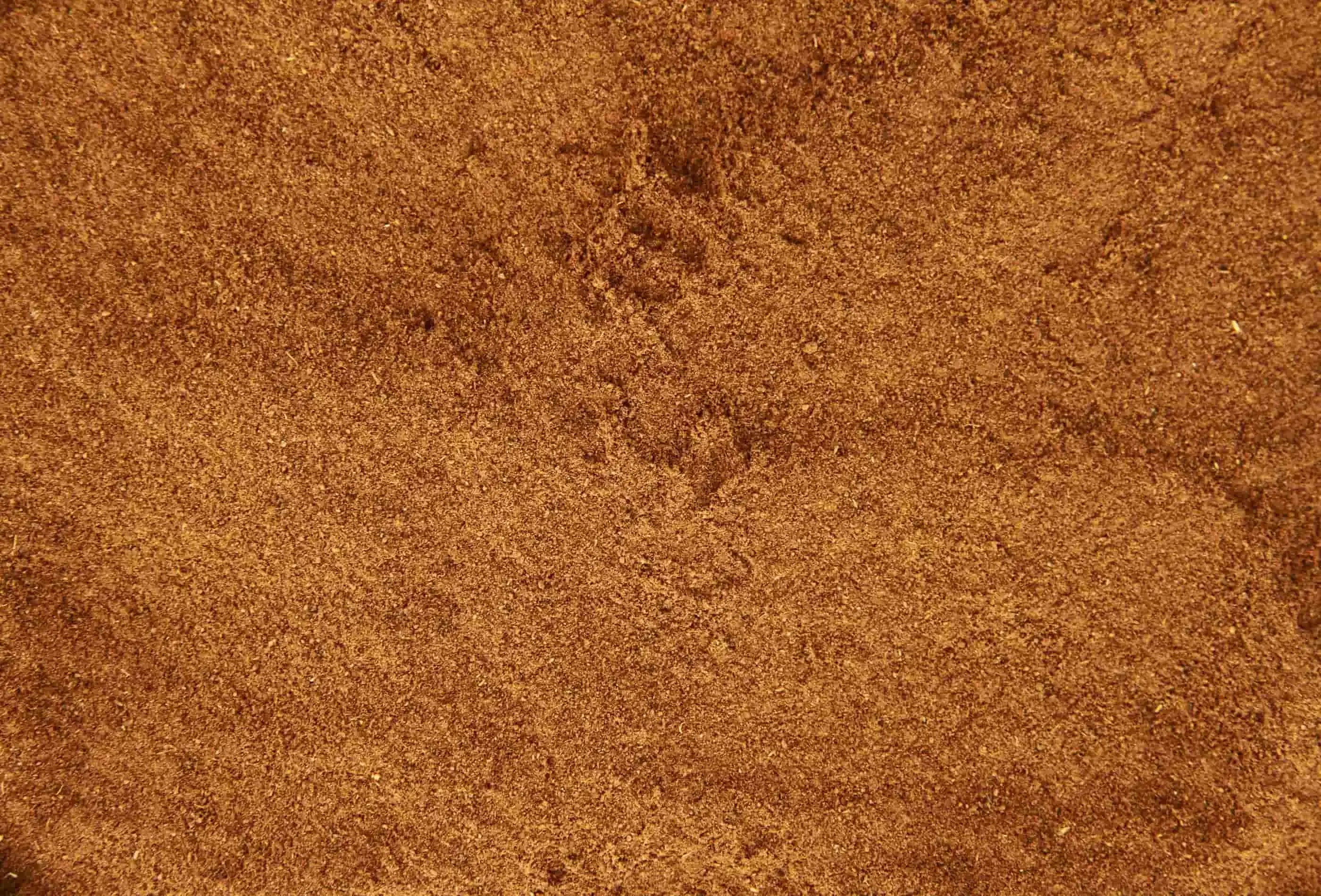 Cinnamon Powder 55g